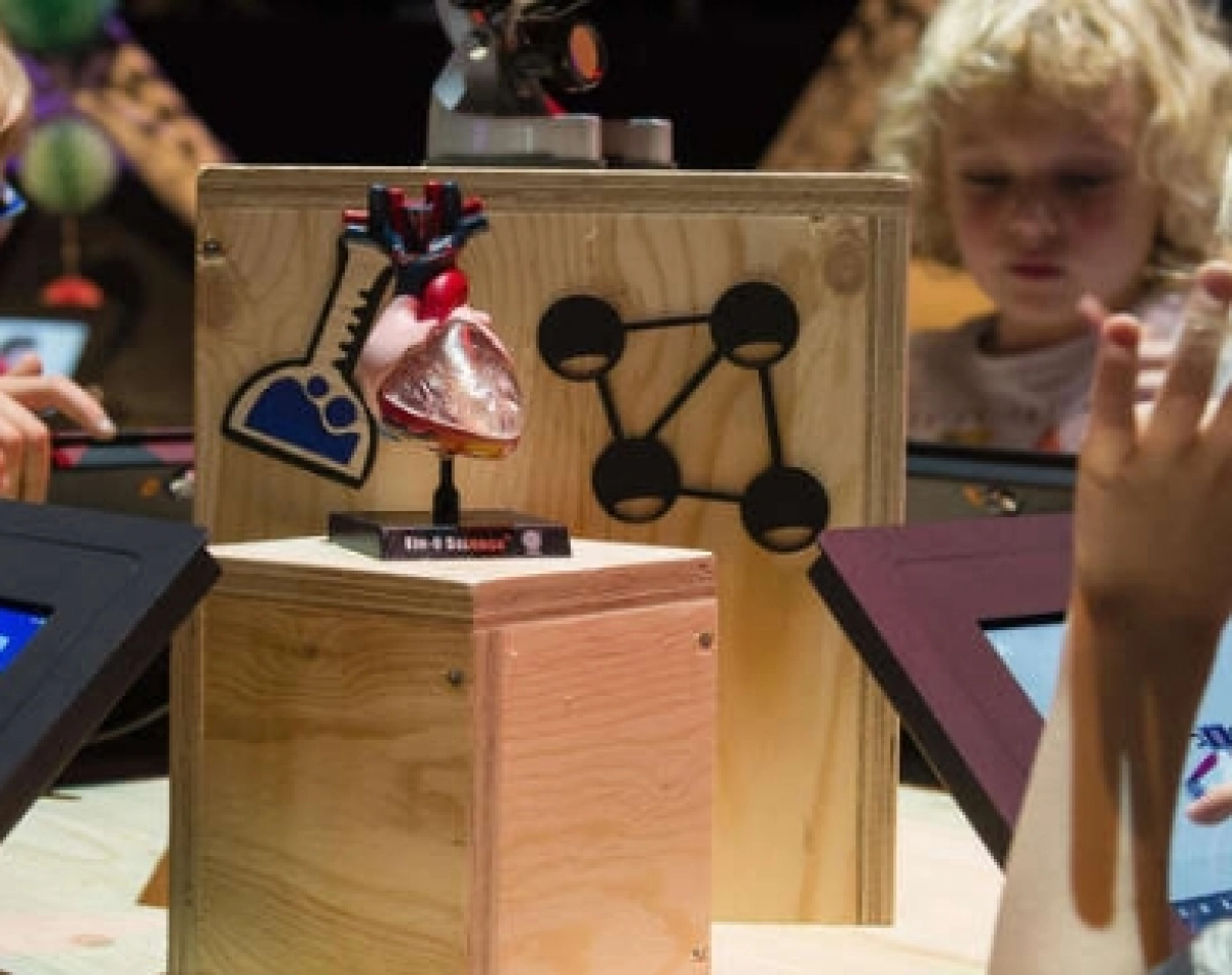 Maak je eigen jungle lampje (8+)